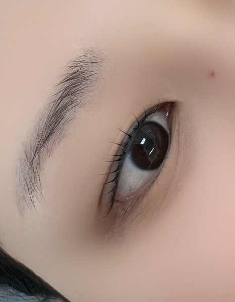 드바이래쉬 이미지