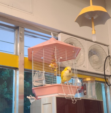 노랑통닭아산실옥점 이미지