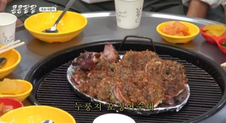 모자가리비 이미지