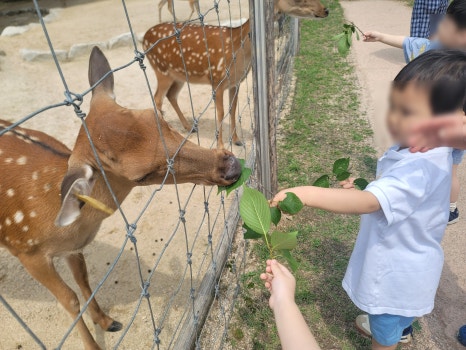 정릉1동어린이집 이미지