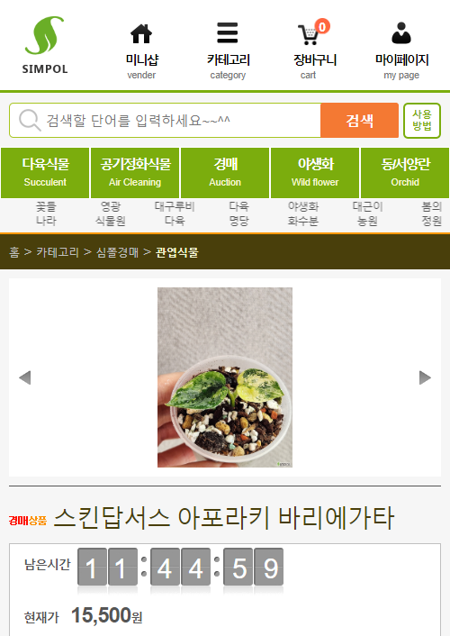 묘한정원 이미지