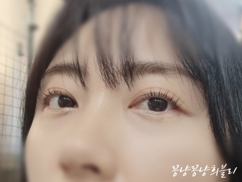 네일베르네 이미지