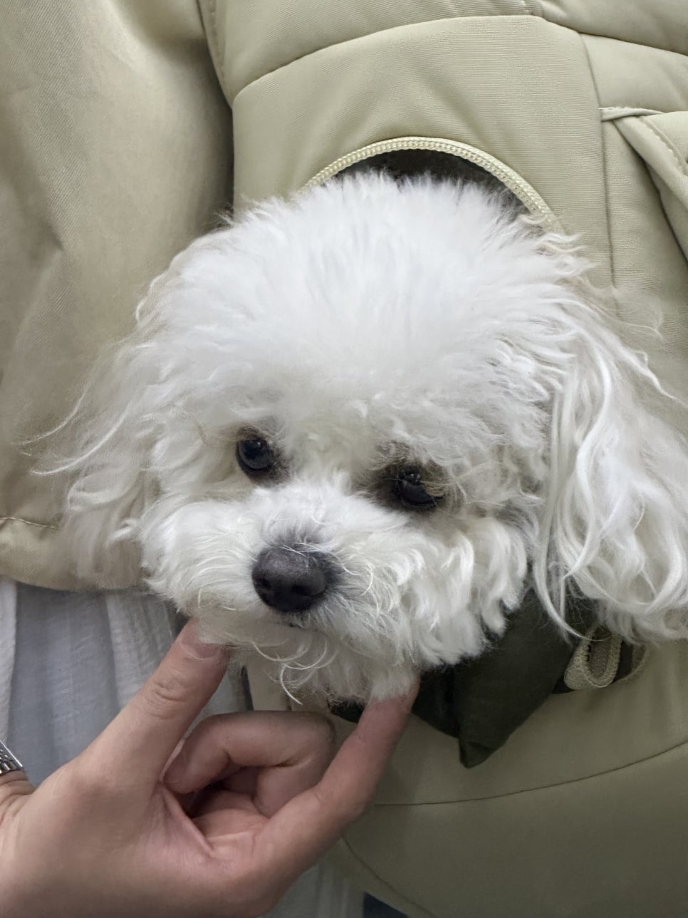 코코가방 이미지