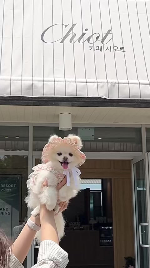 카페그리다 이미지