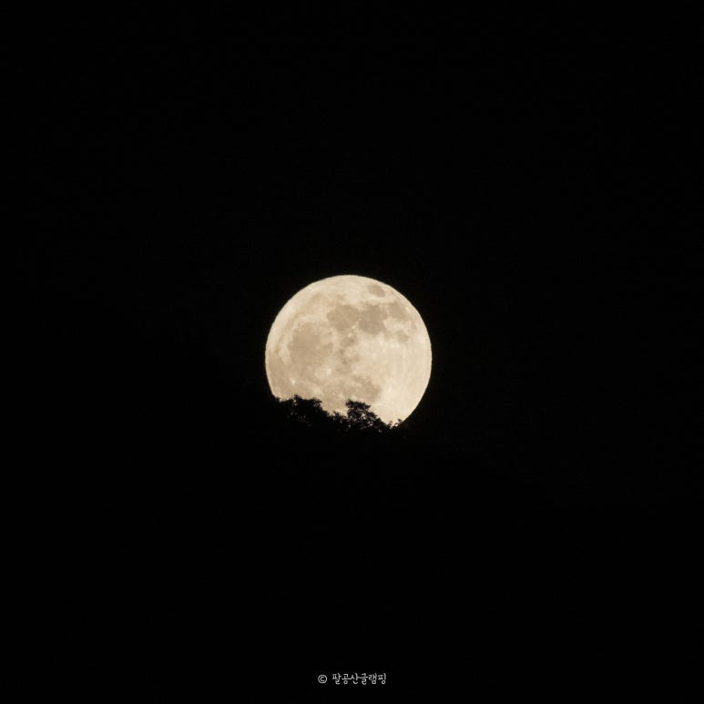 팔공산 글램핑 이미지