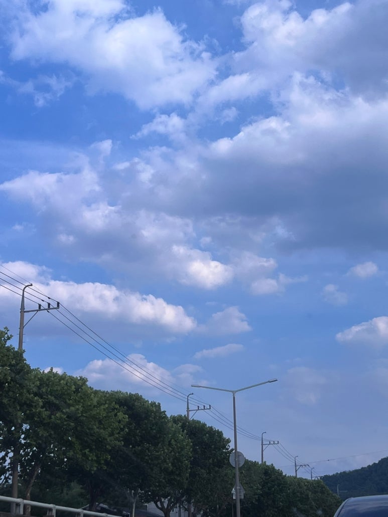 돌고래풀하우스 이미지