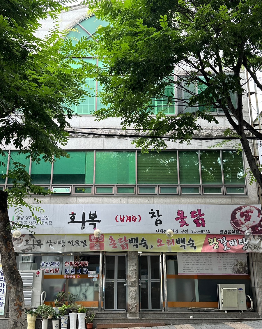 회복참옻닭 이미지