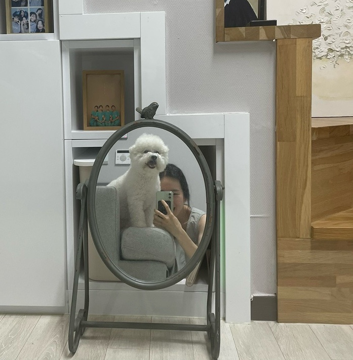 싱생송 이미지