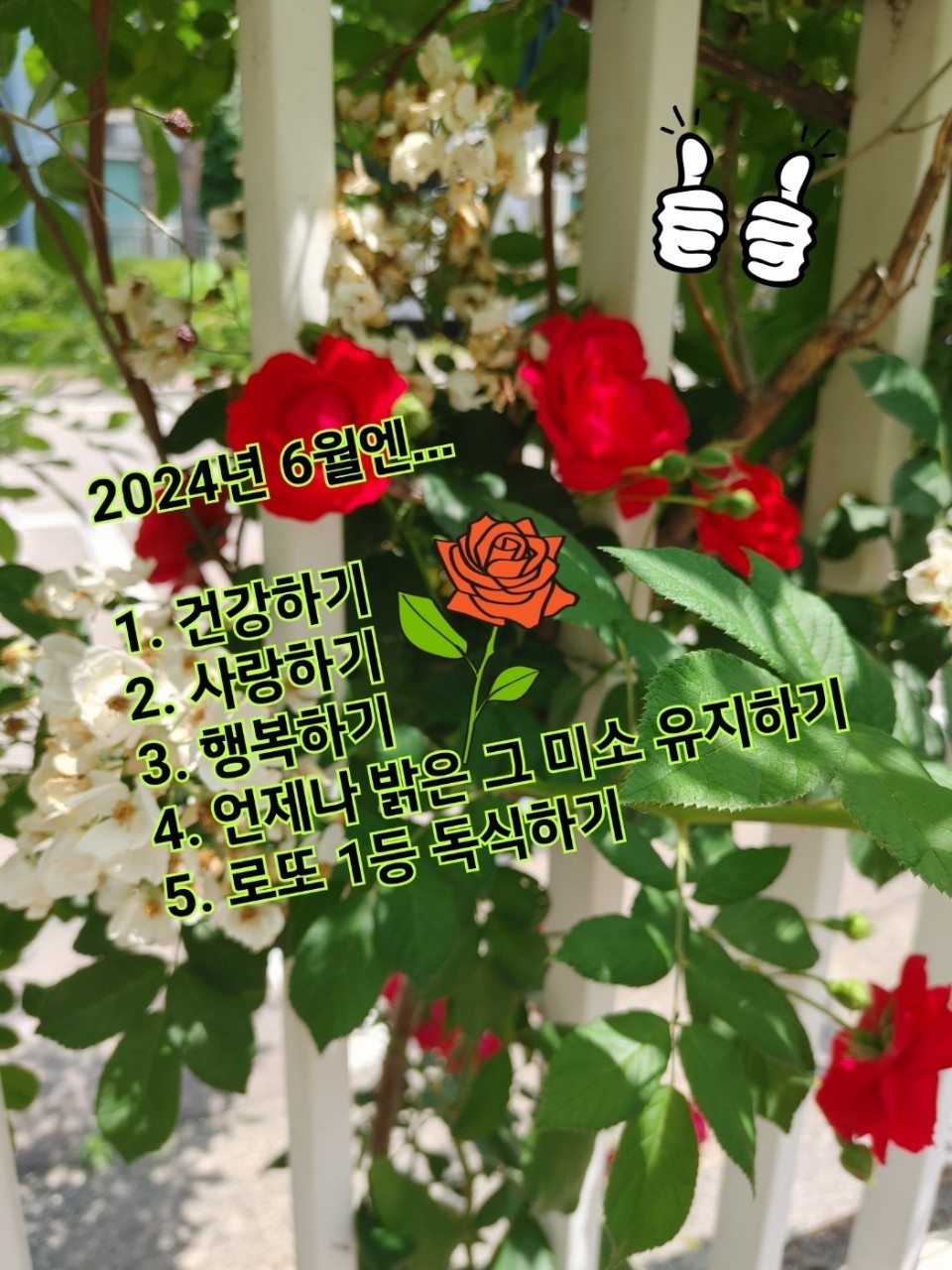 대우건설정보 이미지