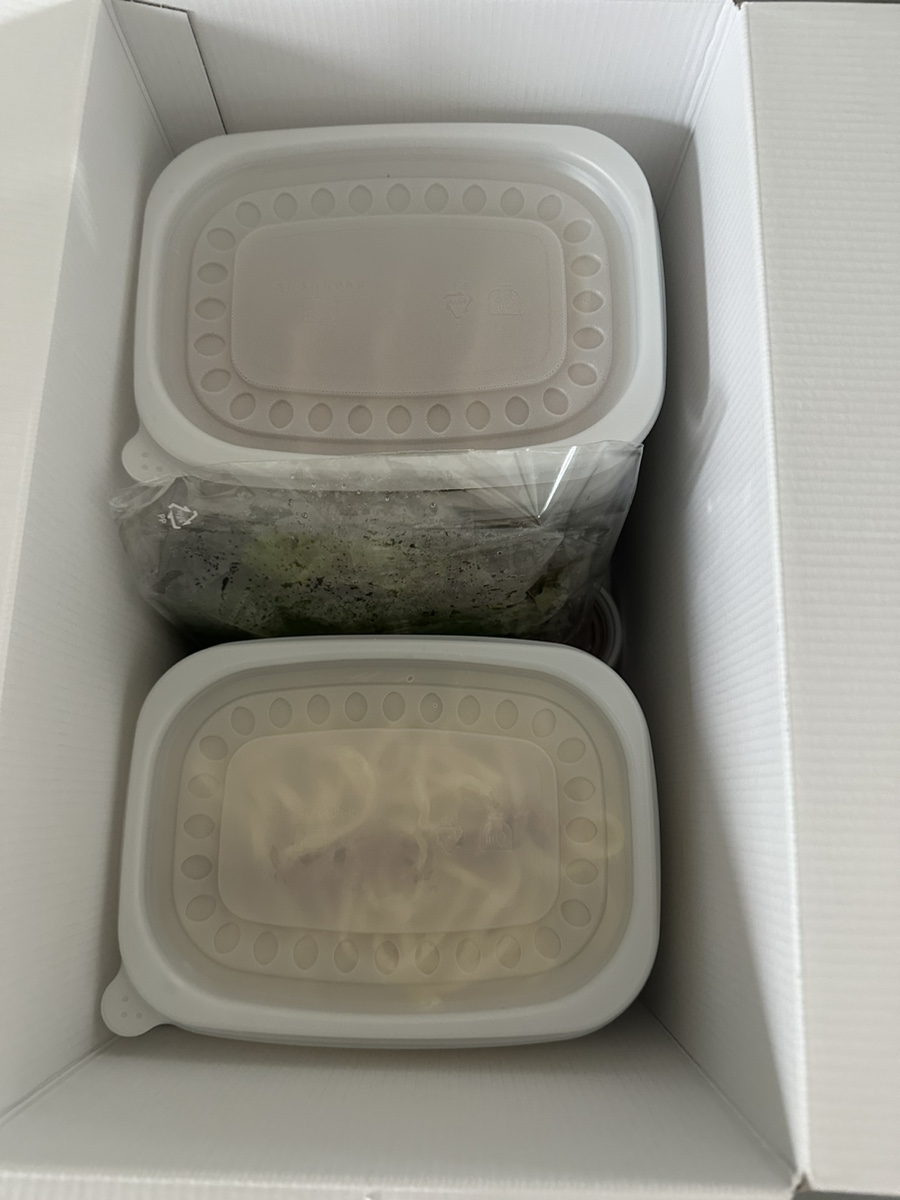 조아해낙지 이미지
