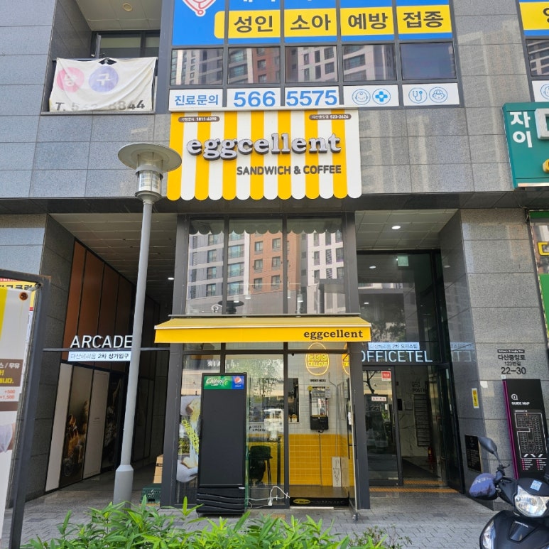 에그셀런트다산 이미지