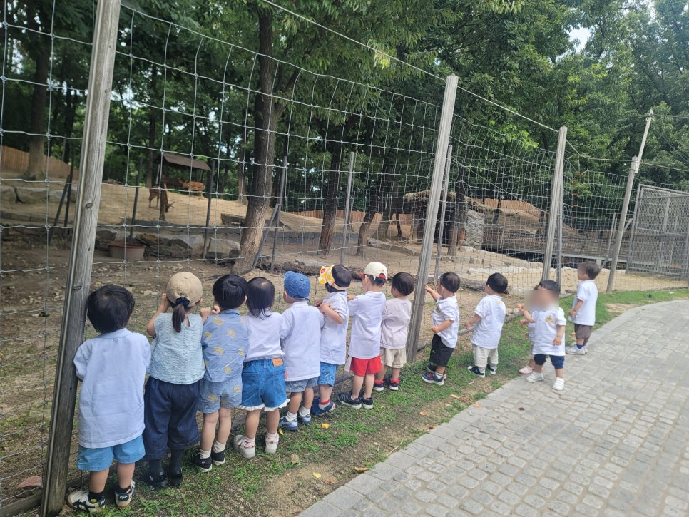 정릉1동어린이집 이미지