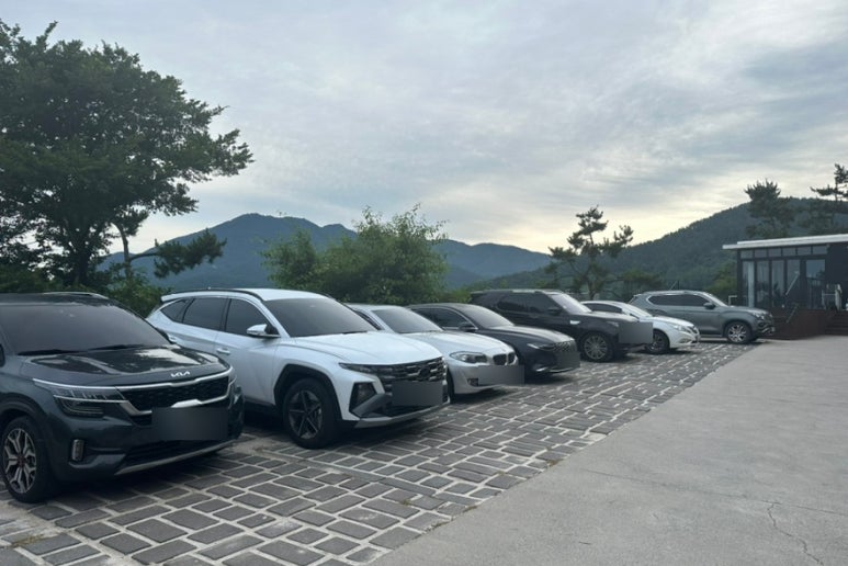 더뷰1151 이미지