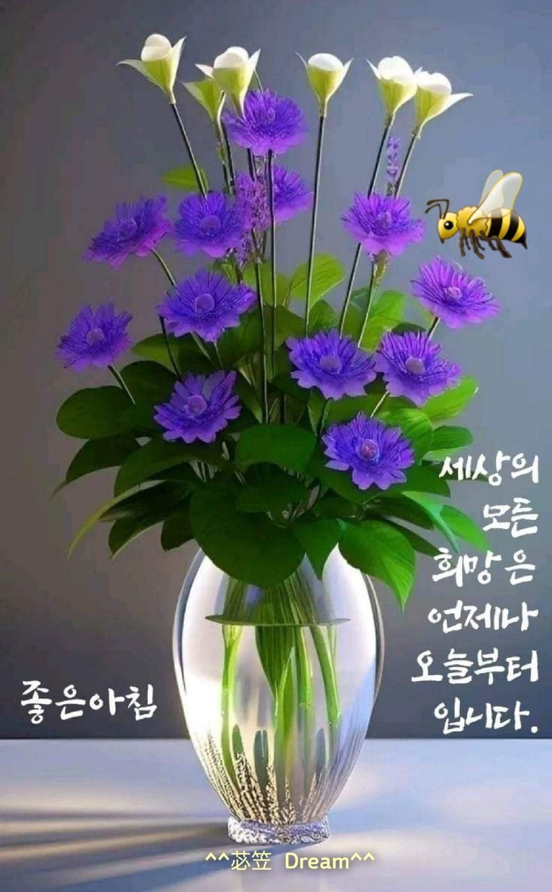 오늘피트니스 이미지