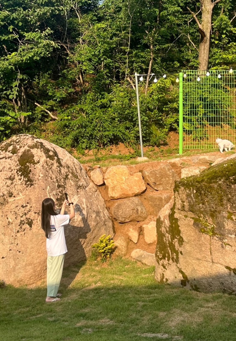 우복동편백펜션 이미지