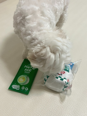 신도담 이미지
