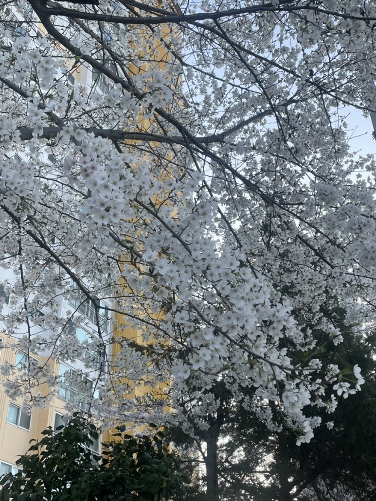 클레망베이커리 이미지