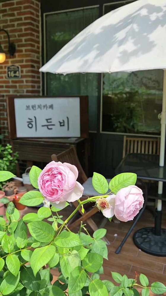 히든카페 이미지
