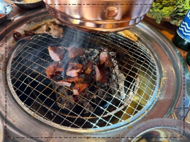 갈매기 학교 이미지