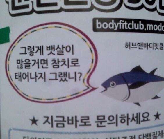 스시덴참치 이미지