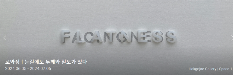 정1981 이미지