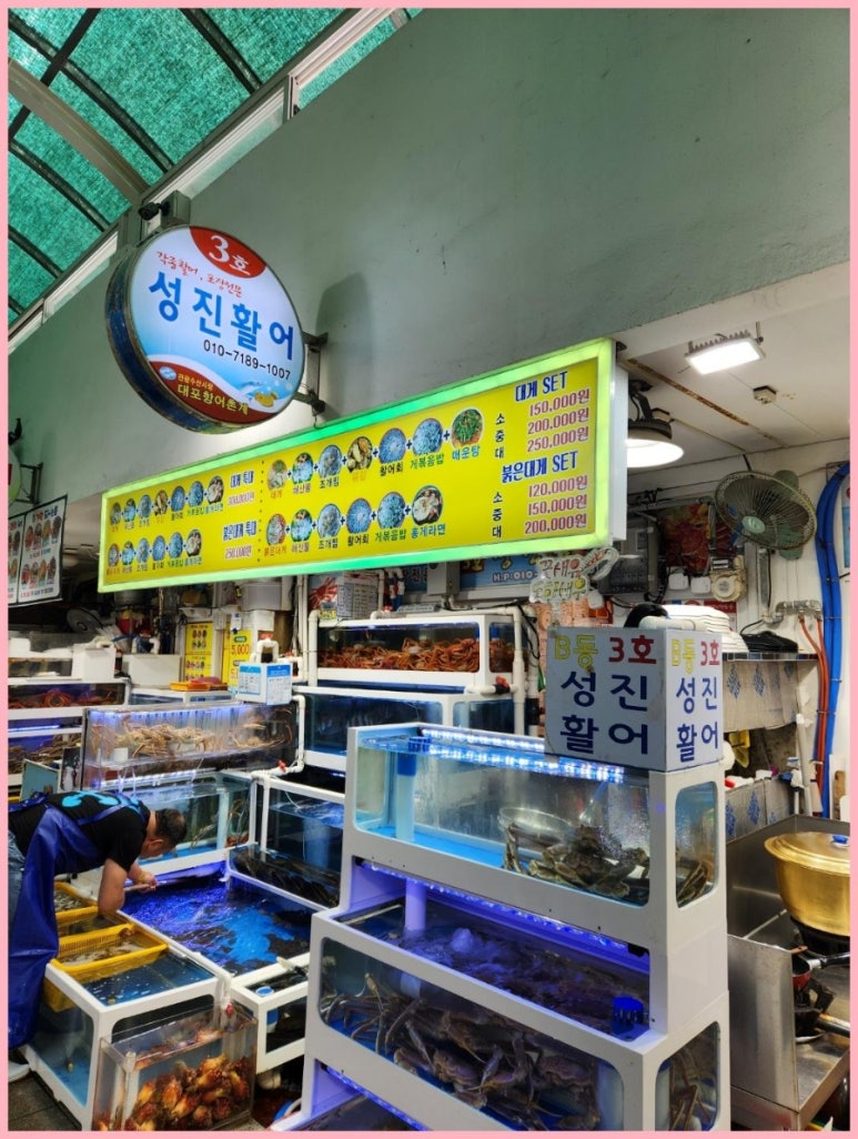 활어바다친구 이미지