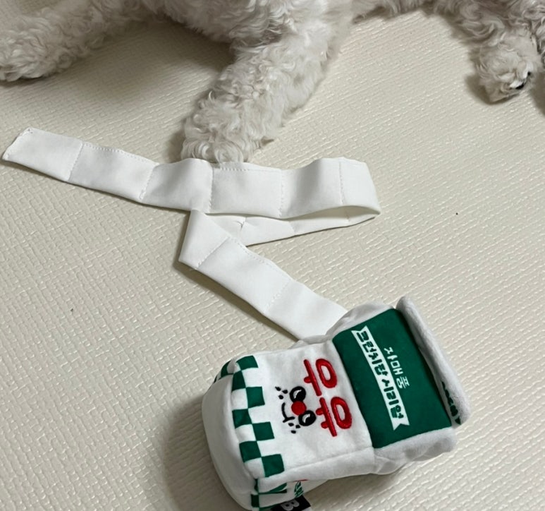 신도담 이미지