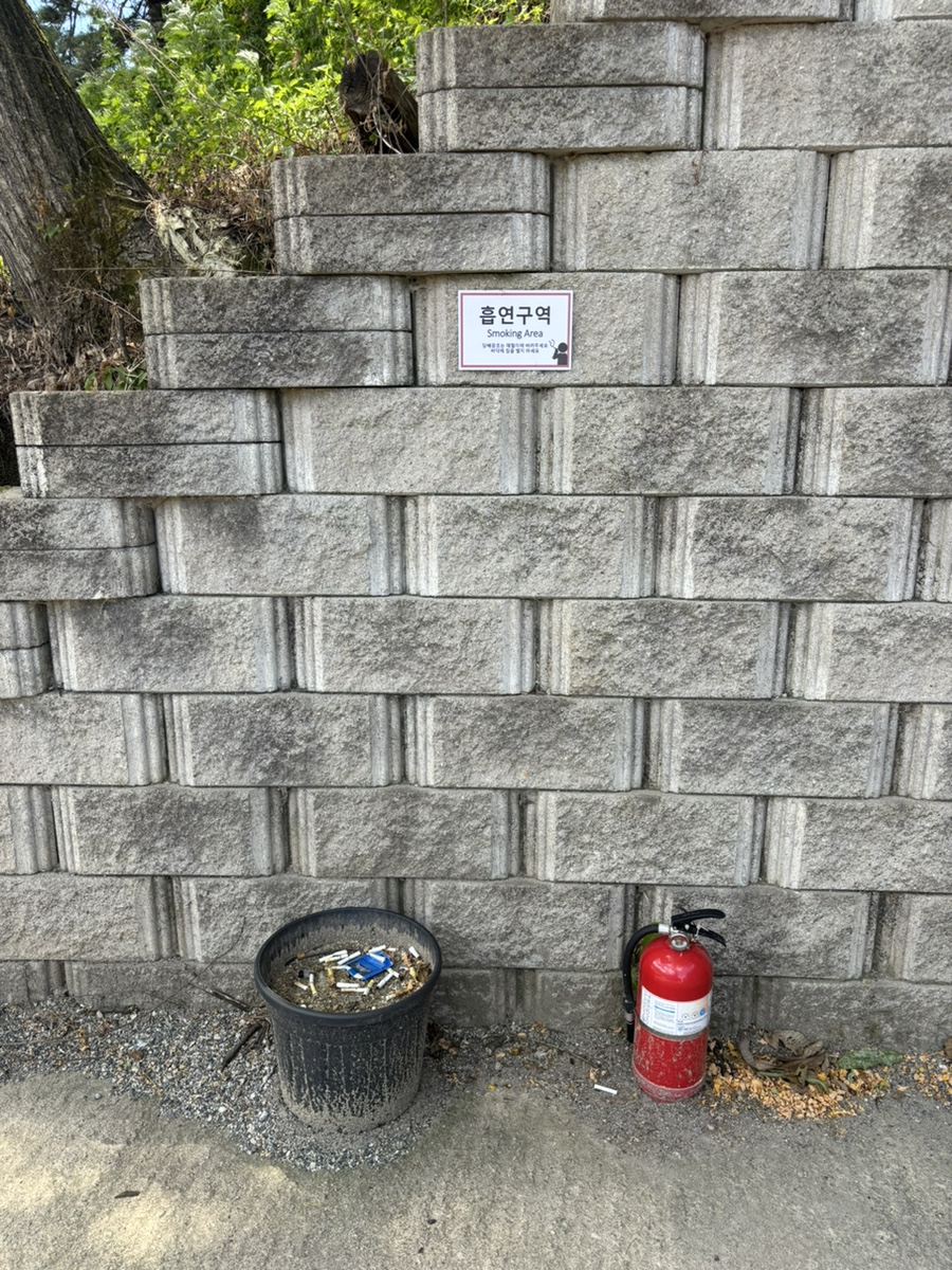 세렌디피아 이미지