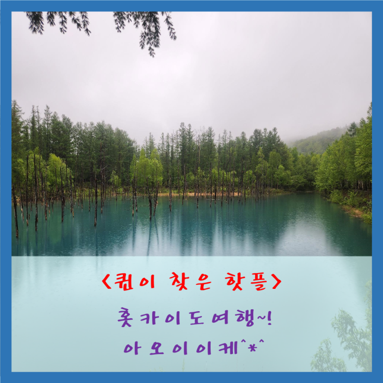 애플여행사(투어) 이미지