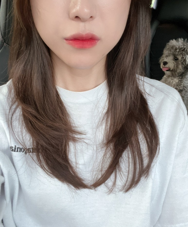 아모이헤어 이미지