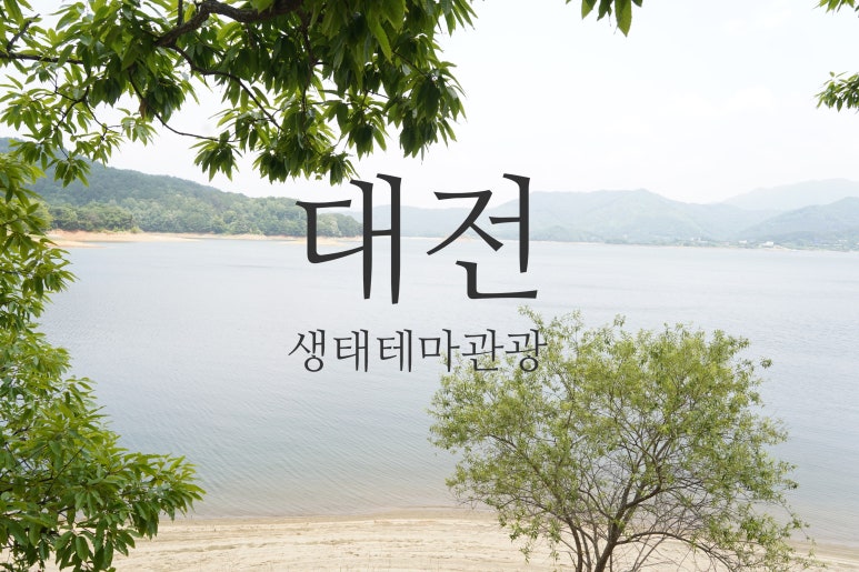 (주)무빙트립 이미지