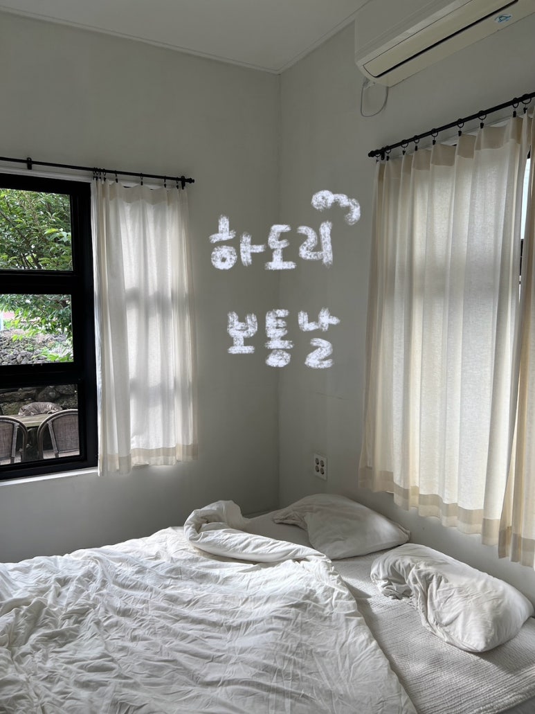 하도리보통날 이미지