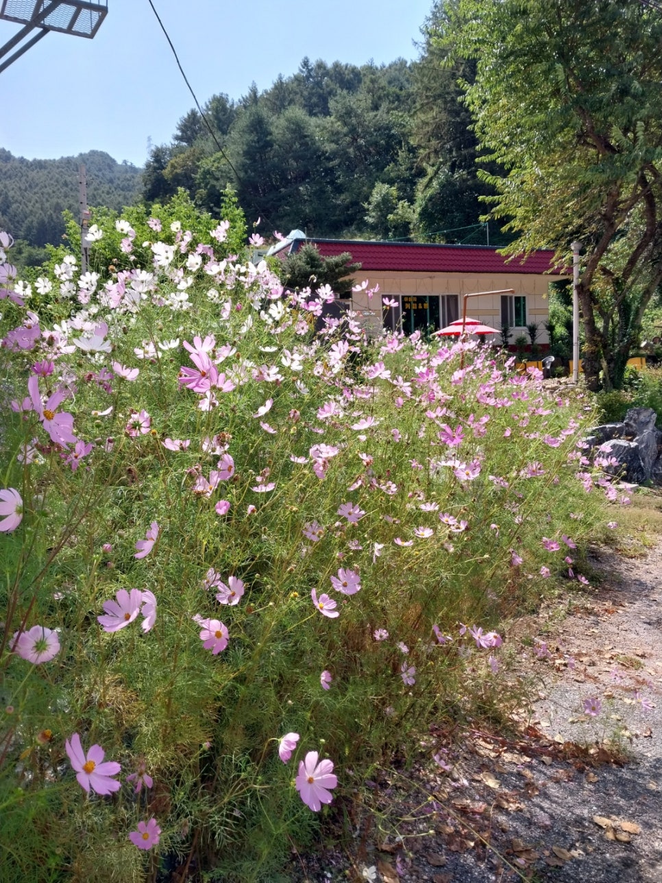 아침치커피&빵 이미지