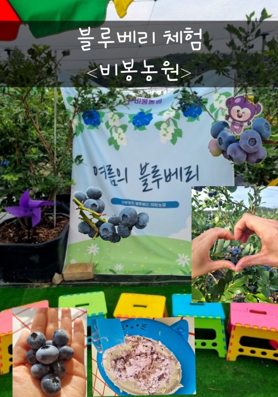 비봉농원 이미지
