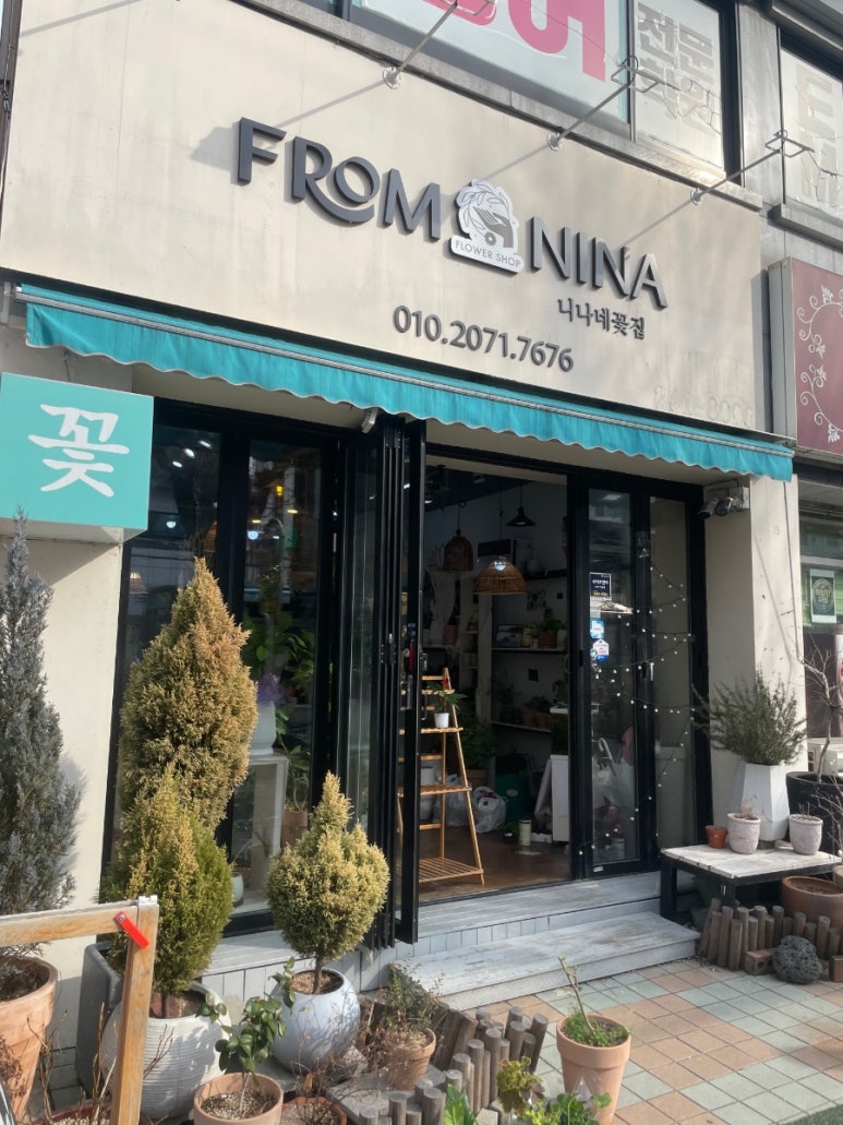 프롬니나 이미지