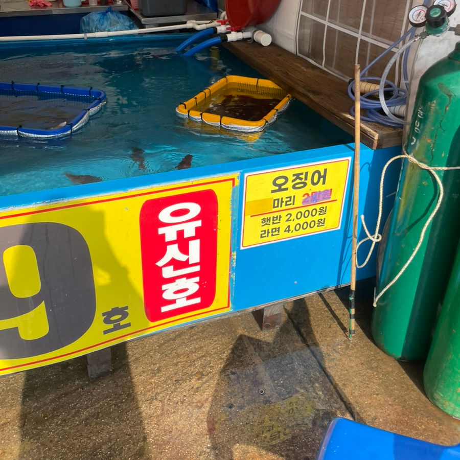 유신호 이미지