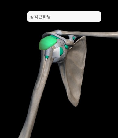 엔한의원 이미지