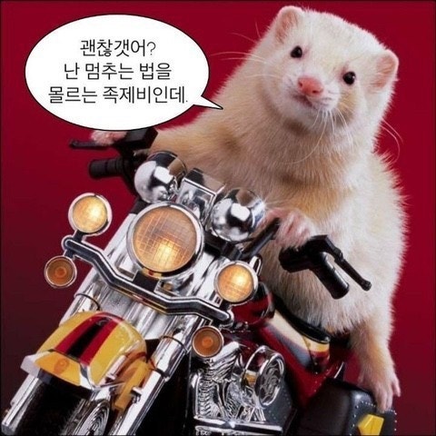 김말숙 이미지