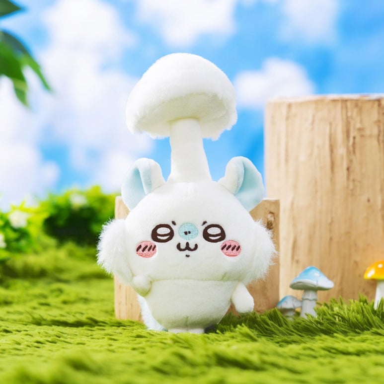 모몽가 이미지