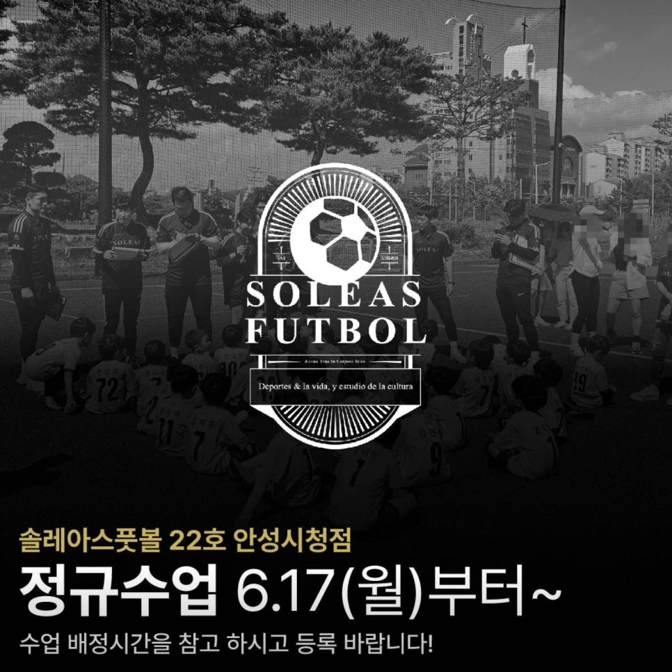 솔레아스풋볼안성 이미지