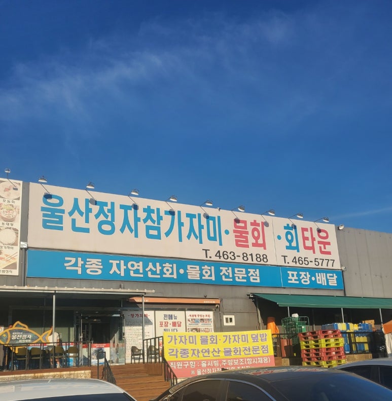 울산정자참가자미회타운 이미지