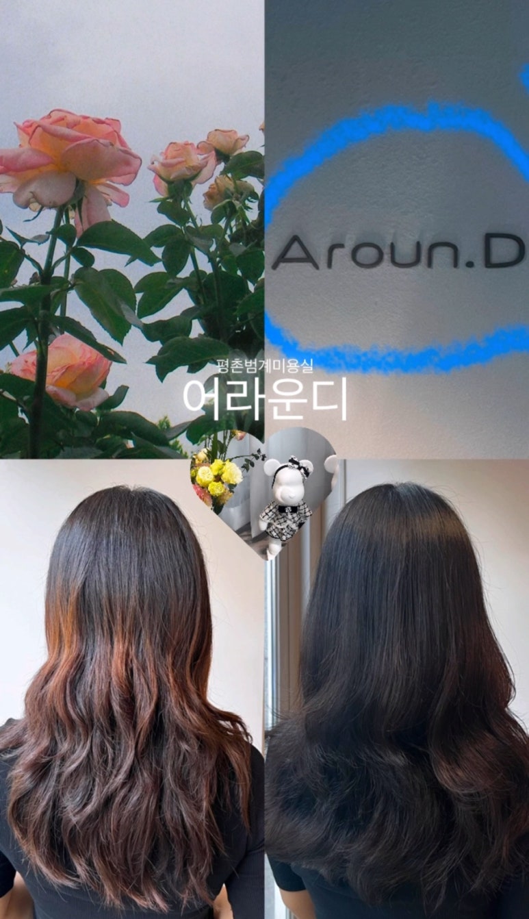 어라운디 이미지