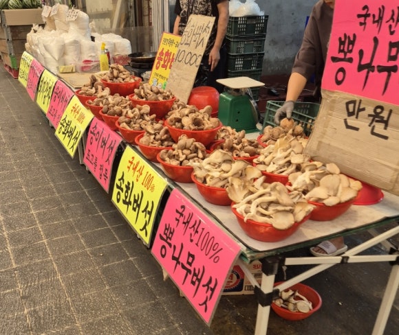 태영상회 이미지