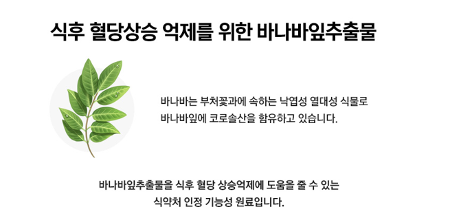 지플러스 이미지