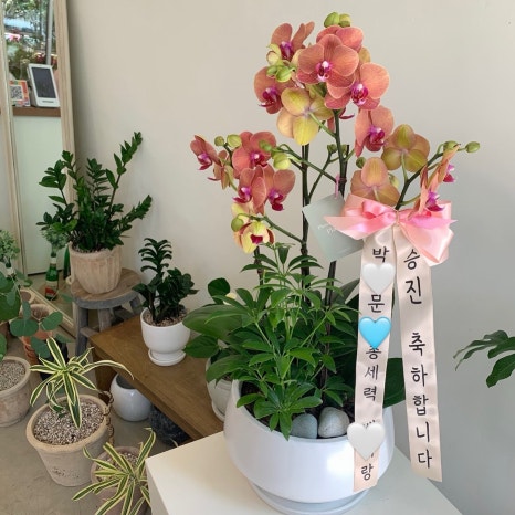 플라워노트 이미지