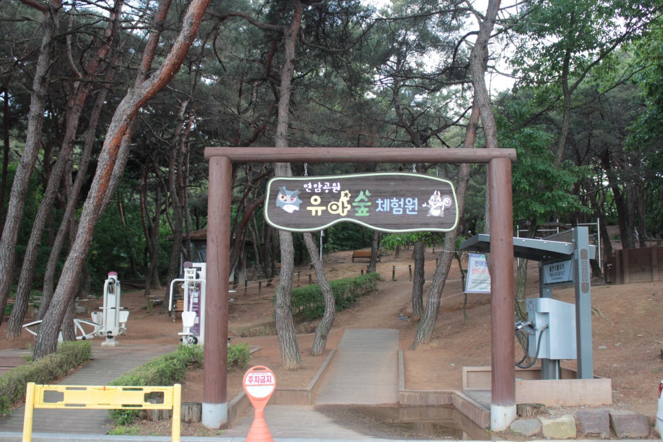 연암공원 유아숲체험원 이미지