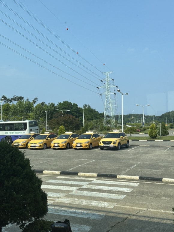 동해자동차운전전문학원 이미지