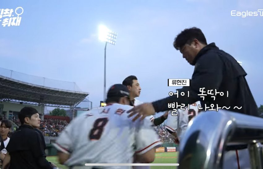 차우차이 이미지
