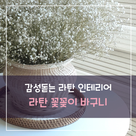 김도로의나전라탄공방 이미지