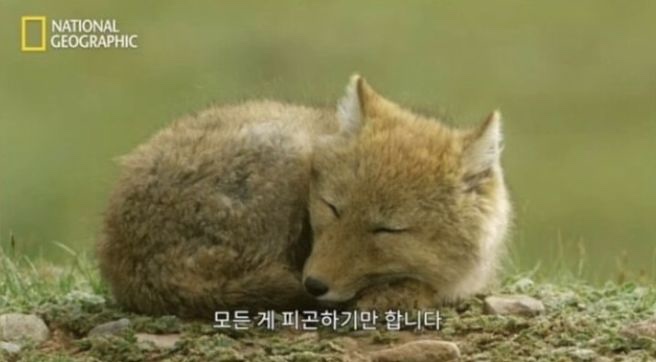 안녕;김밥 이미지